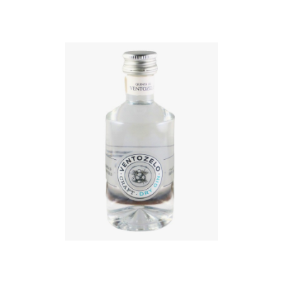 Miniatura Gin Qta Ventozelo...