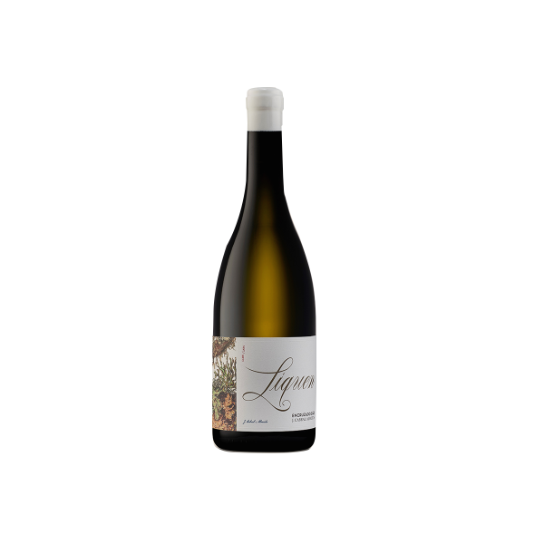 Liquen Encruzado 2021 / Vinhas Centenárias unid/ Alfrocheiro Unid