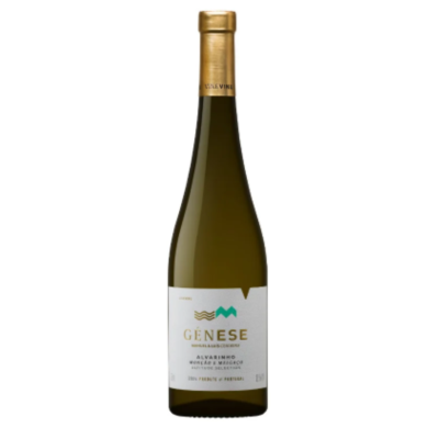 Vine Venu Genese