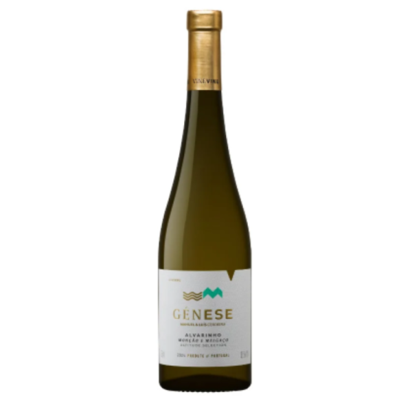 Vine Venu Genese