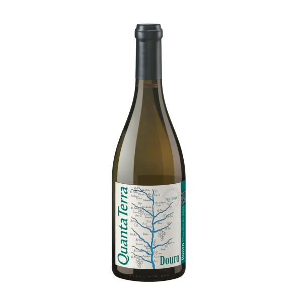 Quanta Terra Gr. Reserva Branco