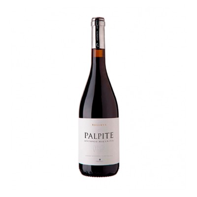 Palpite