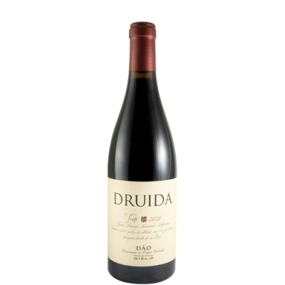Druida tt