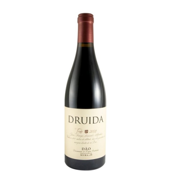Druida tt