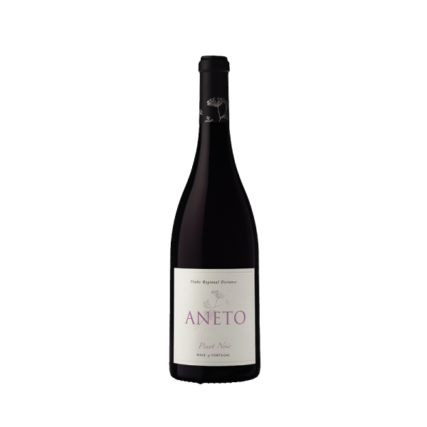 Vinho Aneto Pinot Noir