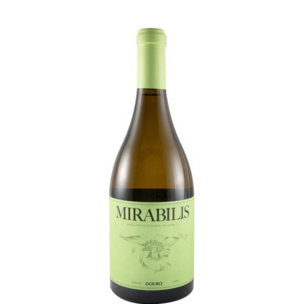 Mirabilis Branco