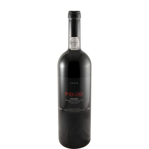 Fojo 2000