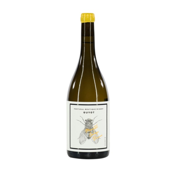 Guyot Moscatel Galego Branco